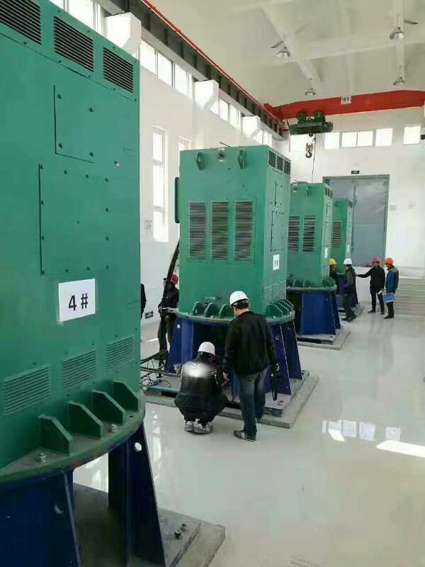Y5602-2/2000KW某污水处理厂使用我厂的立式高压电机安装现场